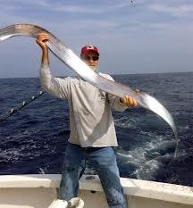 detoate - images-2.jpg